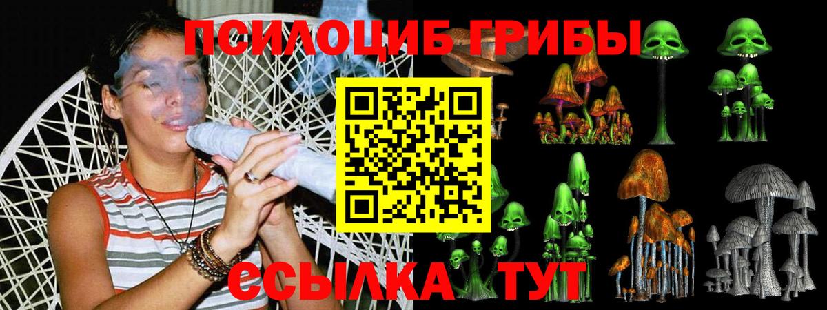 Галлюциногенные грибы Psilocybe Сочи