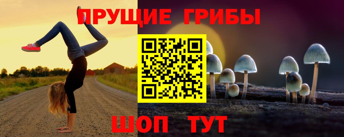 Сочи  Псилоцибиновые грибы Magic Shrooms  Вход с VPN  Галлюциногенные грибы Psilocybe 